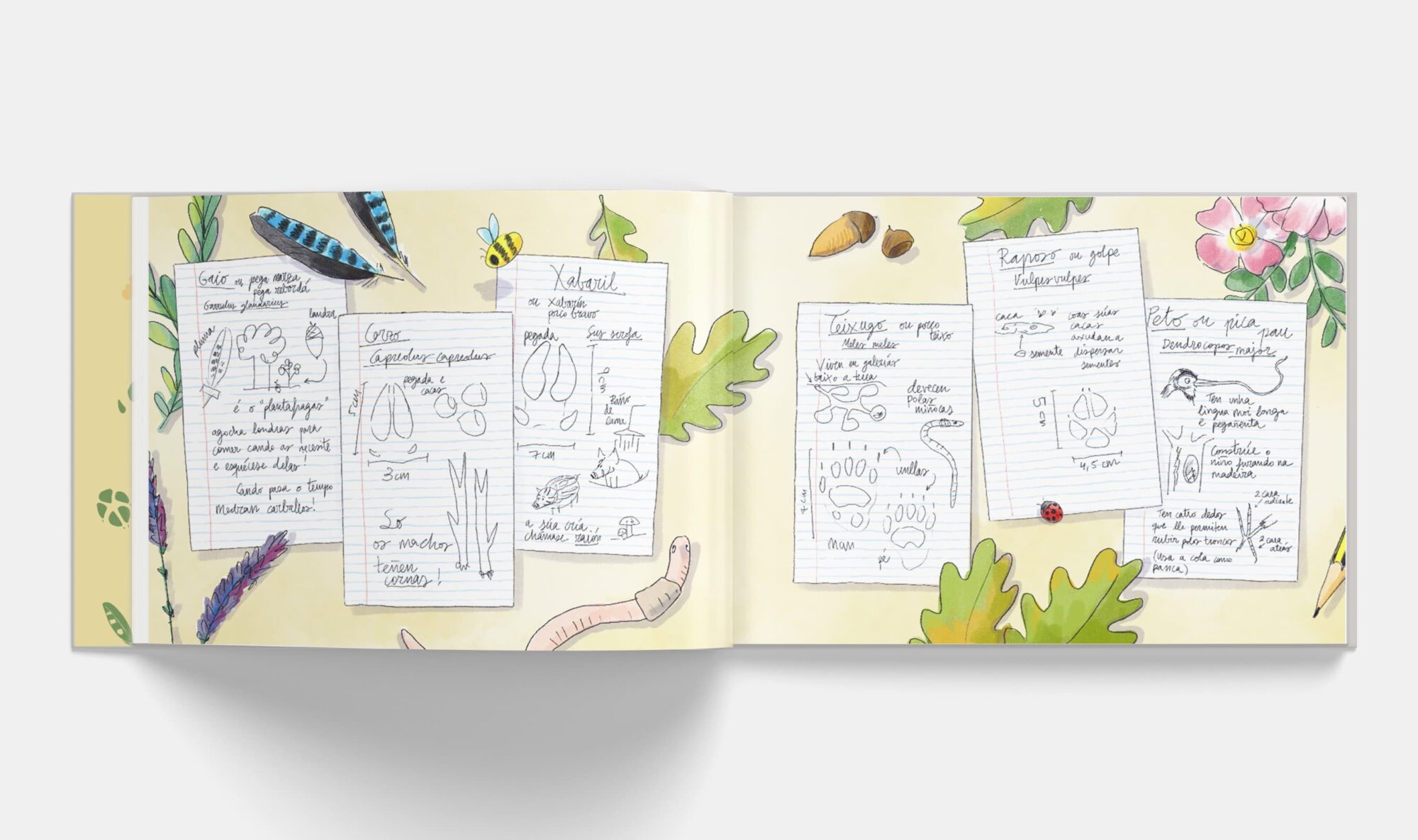 Xela, aventura na fraga - Imaxe 5