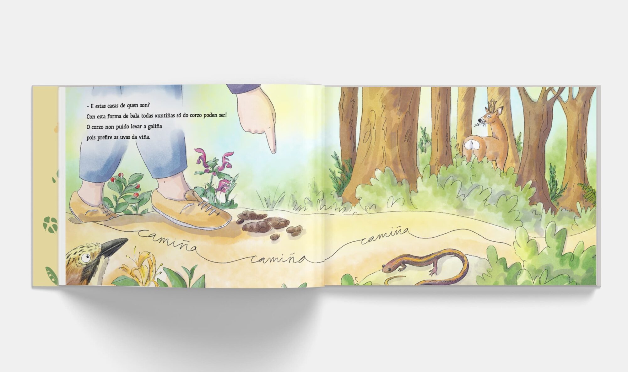 Xela, aventura na fraga - Imaxe 3