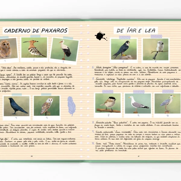 O grande aviario - Imaxe 2