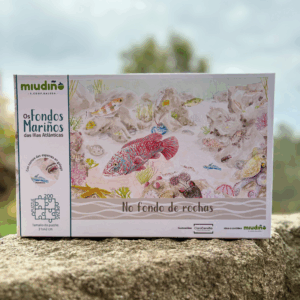 Puzzles "Os fondos mariños das Illas Atlánticas"